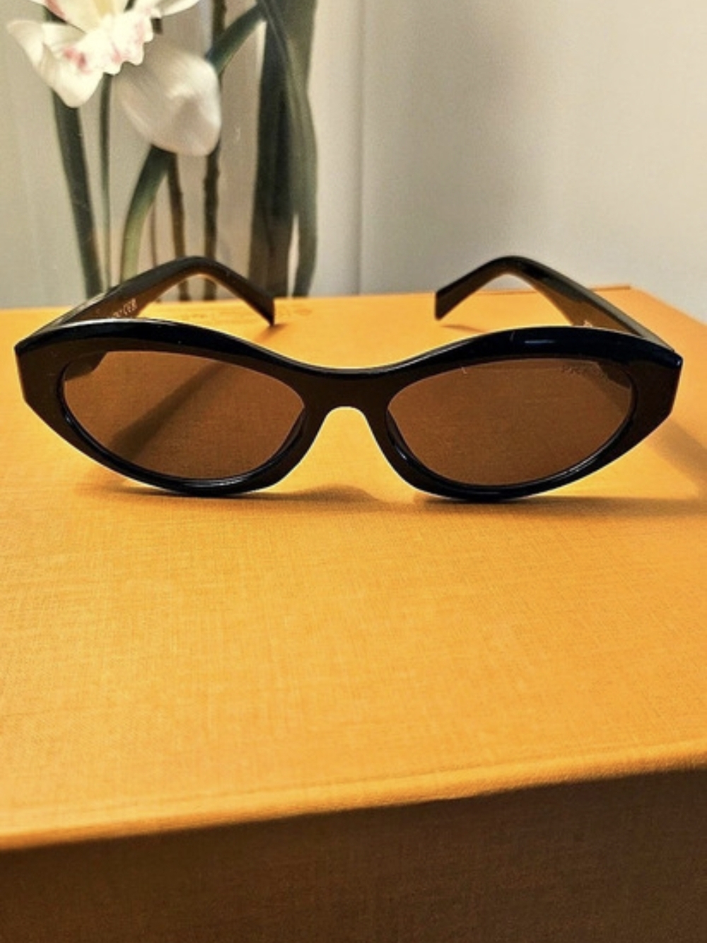 Fashion Sunglasses